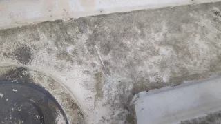 81151100591 Теплозащита кузова MAN TGX Арт 9077180, вид 2