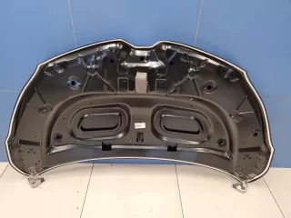 STRN160150CN Капот Renault Kaptur Арт ZAP334289, вид 2