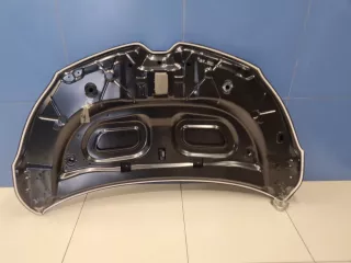 STRN160150CN Капот Renault Kaptur Арт ZAP328026, вид 4