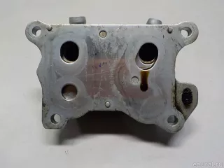 2130000Q0G Nissan Радиатор масляный Nissan Qashqai 2 restailing Арт E52097350, вид 8