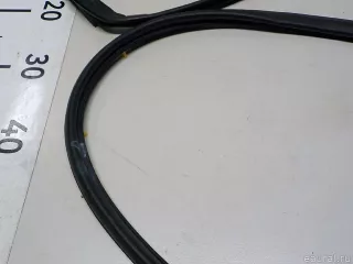 831402T000 Hyundai-Kia Уплотнитель двери Kia Optima 3 Арт E52262252, вид 7