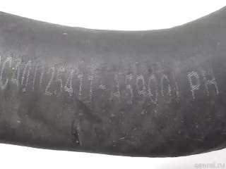25411A5900 Hyundai-Kia Патрубок радиатора Kia Ceed 2 Арт E52367505, вид 4