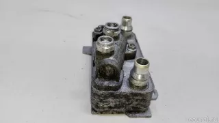 0995001900 Mercedes Benz Радиатор масляный Mercedes E W213 Арт E23289172, вид 10