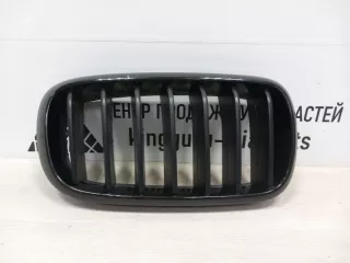 7316076 Решетка радиатора BMW X5 F15 Арт TP91800, вид 1
