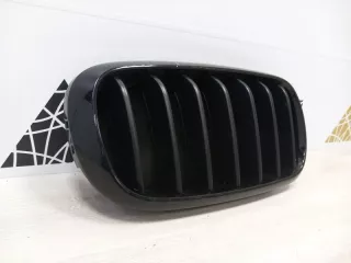 7316076 Решетка радиатора BMW X5 F15 Арт TP91800, вид 2