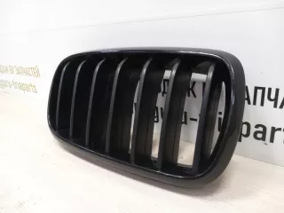 7316076 Решетка радиатора BMW X5 F15 Арт TP91800, вид 3