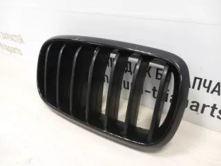 7316076 Решетка радиатора BMW X5 F15 Арт TP91800, вид 4
