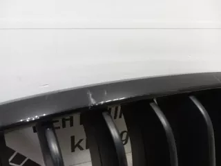 7316076 Решетка радиатора BMW X5 F15 Арт TP91800, вид 5