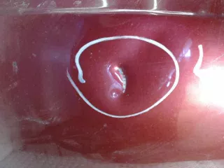  капот перед Renault Scenic 1 Арт 24006057