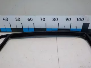 51357317814 BMW Уплотнитель стекла двери BMW X6 F16 Арт E51261775, вид 4