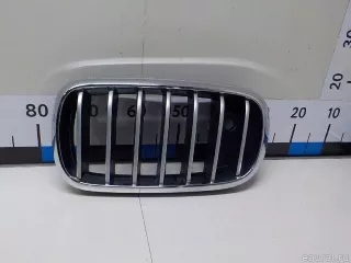 51137349387 BMW Решетка радиатора левая BMW X6 F16 Арт E51619135, вид 1