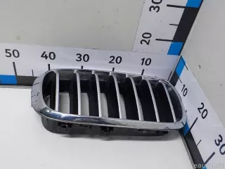 51137349388 BMW Решетка радиатора правая BMW X6 F16 Арт E51619137, вид 12