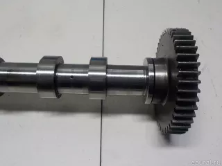 1300100Q1H Nissan Распредвал выпускной Nissan X-Trail T32 Арт E51792459, вид 10