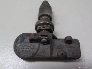  Датчик давления в шине (TPMS) Ford EcoSport Арт E52111643
