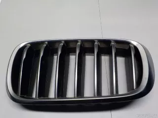 51137349393 BMW Решетка радиатора левая BMW X6 F16 Арт E52244323, вид 1