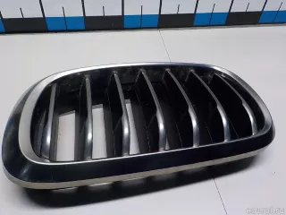 51137349393 BMW Решетка радиатора левая BMW X6 F16 Арт E52244323, вид 8