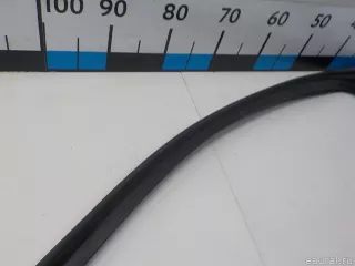 3G0837431M5AP VAG Уплотнитель стекла двери Volkswagen Passat B8 Арт E52309286, вид 12