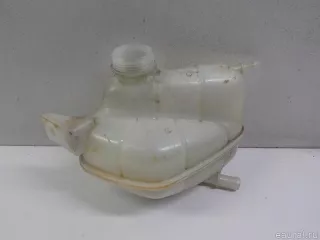 217114EA0A Nissan Бачок расширительный Nissan Qashqai 2 restailing Арт E41047500, вид 1