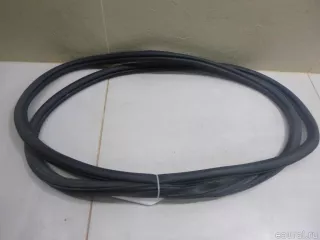 3G5867913L5AP VAG Уплотнитель двери Volkswagen Passat B8 Арт E60535081, вид 1