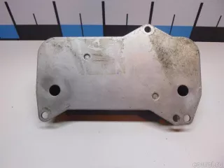 0BH317019A VAG Радиатор (маслоохладитель) АКПП Volkswagen Tiguan 2 Арт E60598159, вид 1