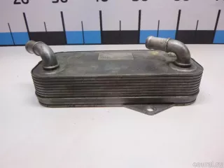 0BH317019A VAG Радиатор (маслоохладитель) АКПП Volkswagen Tiguan 2 Арт E60598159, вид 2