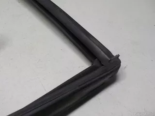 9677545980 Citroen-Peugeot Уплотнитель двери Citroen C4 Picasso 2 Арт E51687326, вид 6