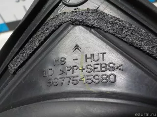9677545980 Citroen-Peugeot Уплотнитель двери Citroen C4 Picasso 2 Арт E51687326, вид 9