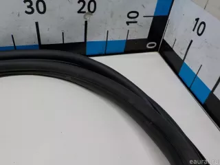 51727468930 BMW Уплотнитель двери BMW X3 G01 Арт E52183329, вид 11