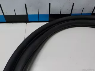51727468930 BMW Уплотнитель двери BMW X3 G01 Арт E52183329, вид 12