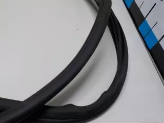 51727468930 BMW Уплотнитель двери BMW X3 G01 Арт E52183329, вид 10