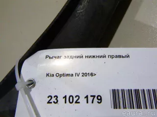 55260D5200 Hyundai-Kia Рычаг задний нижний правый Kia Optima 4 Арт E23102179, вид 8