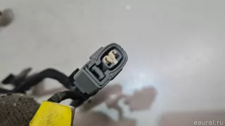 396103C750 Hyundai-Kia Жгут проводов (Проводка) Genesis G80 Арт E23406961, вид 5
