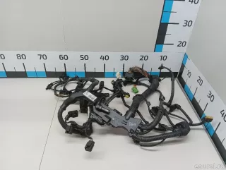 12518595284 BMW Жгут проводов (Проводка) BMW X4 G02 Арт E103014069, вид 1