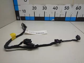 353413L050 Hyundai-Kia Жгут проводов (Проводка) Genesis G90 2 Арт E70464416, вид 2