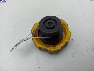 9202799 Пробка расширительного бачка Opel Vectra C  Арт 54777372, вид 1