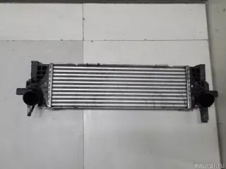 17118584127 BMW Интеркулер BMW X5 G05  Арт E52159625, вид 4