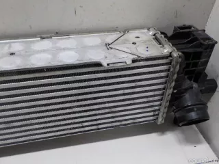 17118584127 BMW Интеркулер BMW X5 G05  Арт E52159625, вид 8