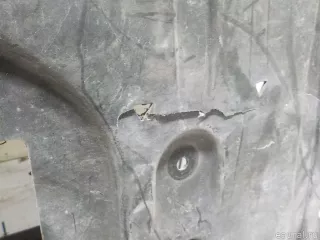 51757424879 BMW Защита днища BMW X7 g07 Арт E52164588, вид 4