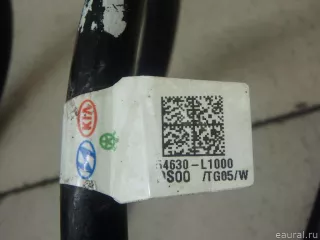 54630L1000 Hyundai-Kia Пружина передняя Kia K5 3 Арт E95634915, вид 7