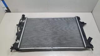 25310M6100 Hyundai-Kia Радиатор основной Kia Cerato 4 Арт E23279751, вид 1