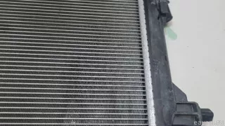 25310M6100 Hyundai-Kia Радиатор основной Kia Cerato 4 Арт E23279751, вид 13
