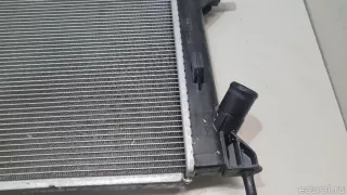 25310M6100 Hyundai-Kia Радиатор основной Kia Cerato 4 Арт E23279751, вид 3