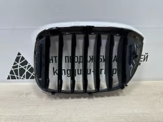 7440854 Решетка радиатора BMW X3 G01 Арт TP93602, вид 7