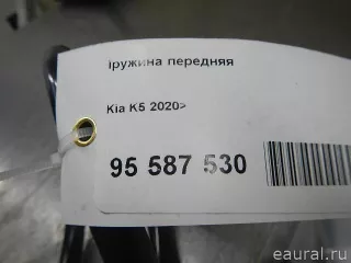 54630L1020 Hyundai-Kia Пружина передняя Kia K5 3 Арт E95587530, вид 7