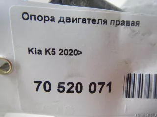 21810L1550 Hyundai-Kia Опора двигателя Kia K5 3 Арт E70520071, вид 8