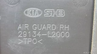 29134L2000 Hyundai-Kia Воздуховод радиатора правый Kia K5 3 Арт E70594215, вид 7