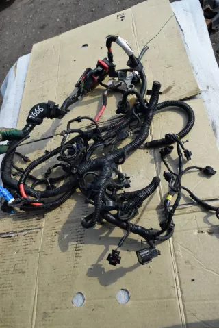 31296114,31327698,31296114004 Проводка двигателя Volvo S60 2 Арт T666-17-98-1