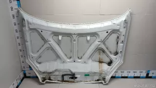 F5100JD0M0 Nissan Капот Nissan Qashqai 2 restailing Арт E103034700, вид 17
