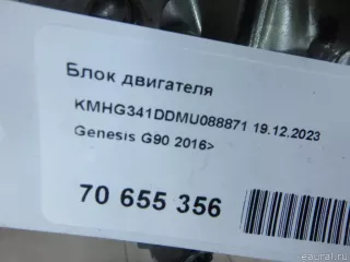 250G23LA0B Hyundai-Kia Блок двигателя Genesis G90 2 Арт E70655356, вид 20