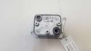 431902N050 Hyundai-Kia Радиатор масляный Hyundai Santa FE 4 (TM) restailing Арт E70660003, вид 1